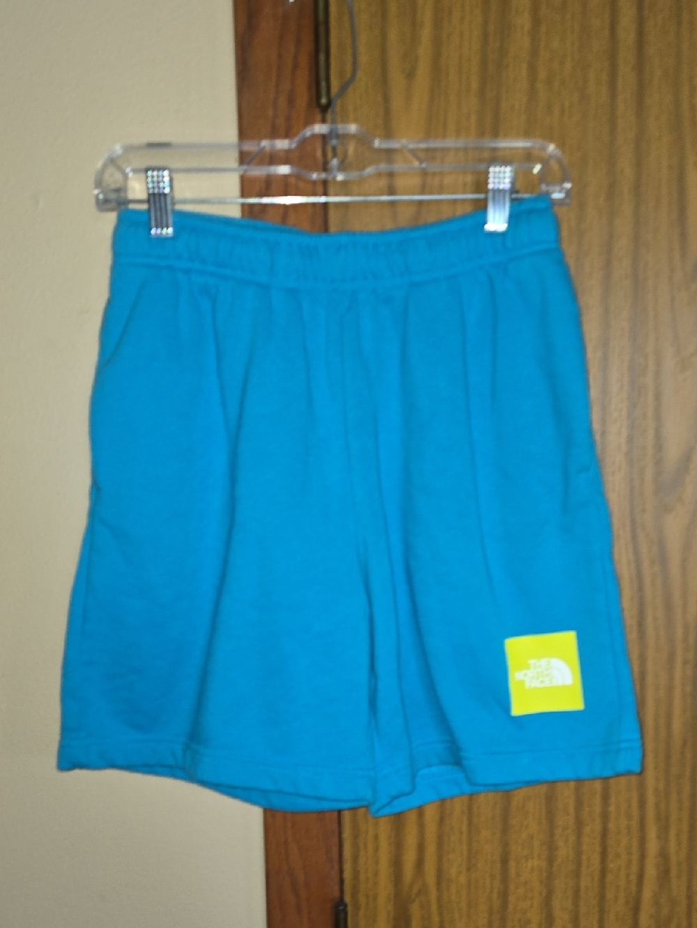 The North Face Turquoise Athletic Shorts